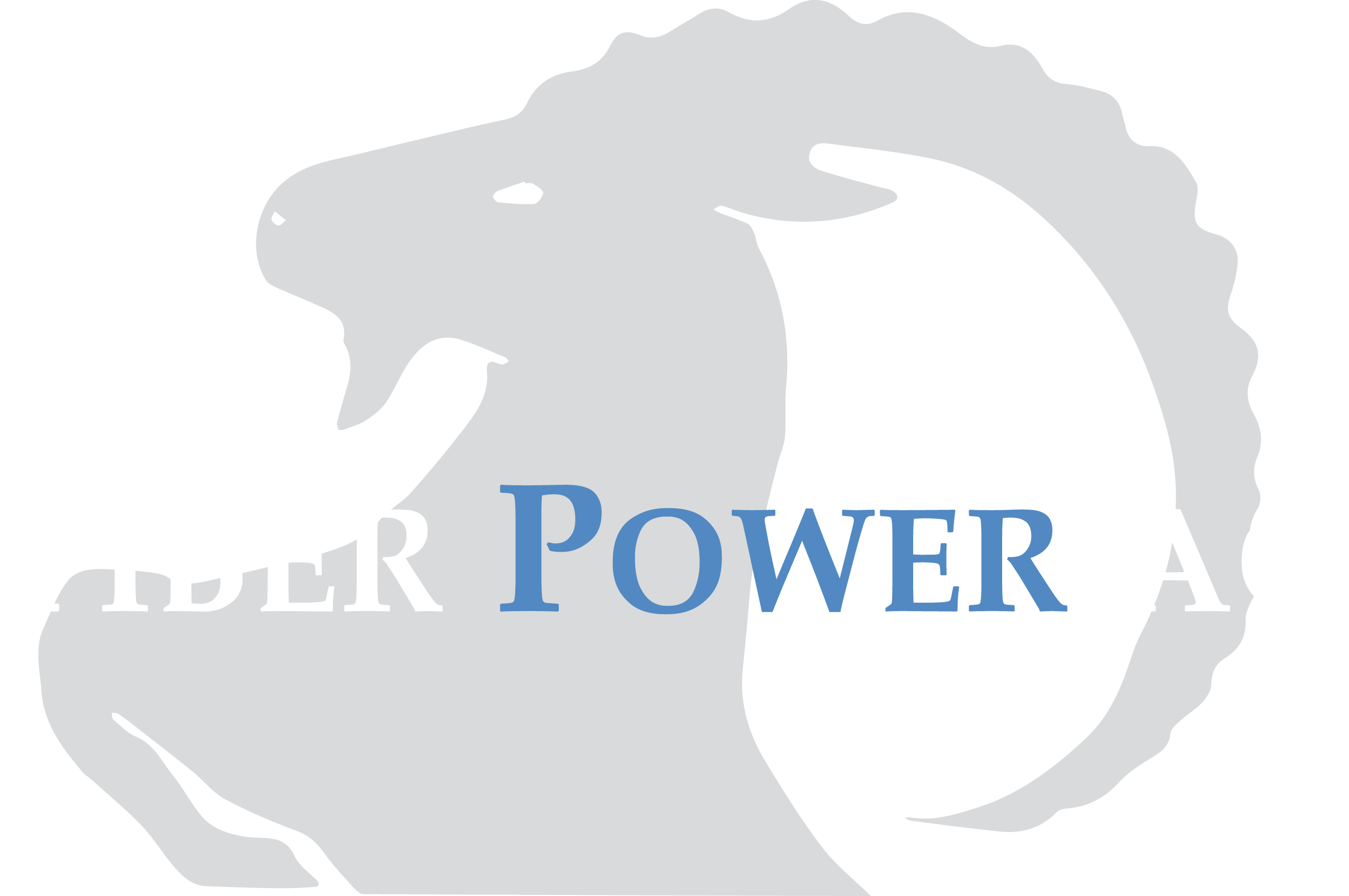 Fiber Power AG Logo